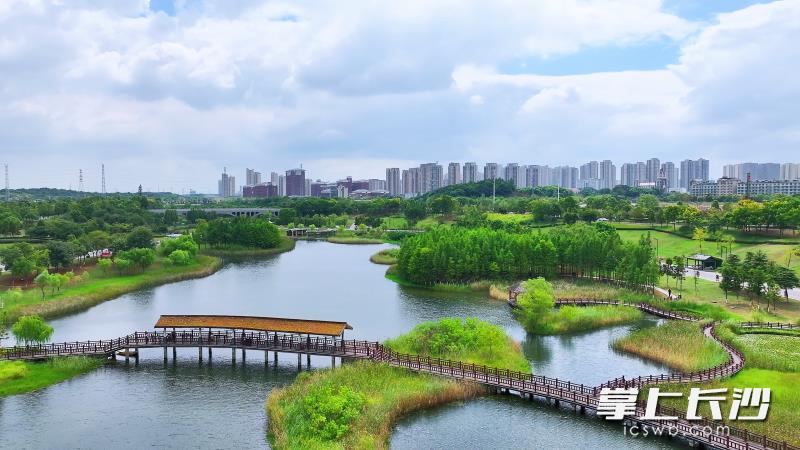 提質(zhì)后市民休閑娛樂的體驗將進一步提升圖片